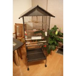 Large Rainforest Cage