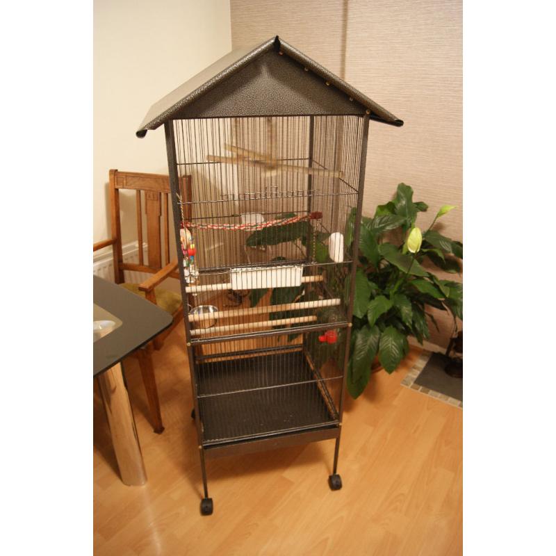 Large Rainforest Cage