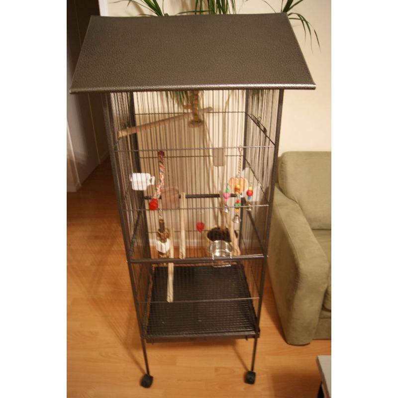 Large Rainforest Cage