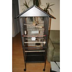 Large Rainforest Cage