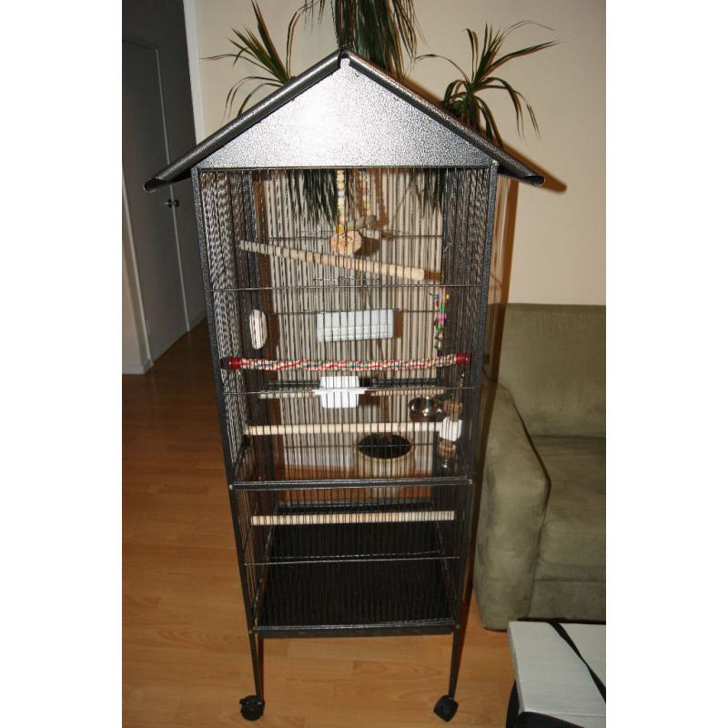 Large Rainforest Cage