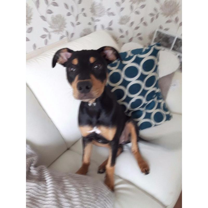 Female Staff in need of rehoming