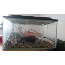 Fish tank/ aquarium