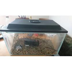 Fish tank/ aquarium