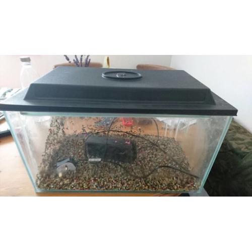 Fish tank/ aquarium