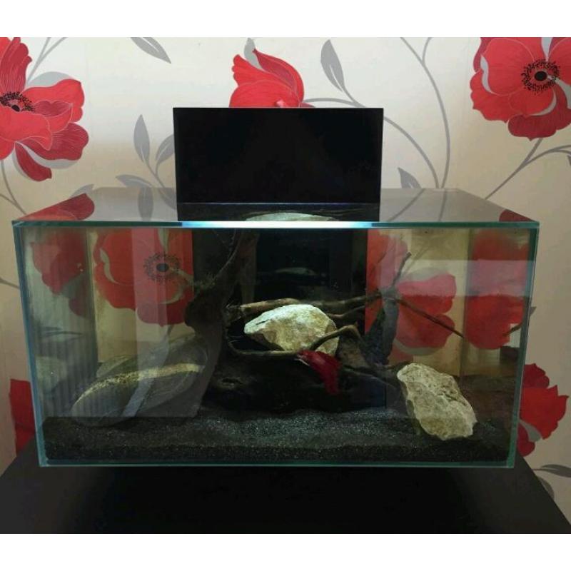 Fluval edge 23l