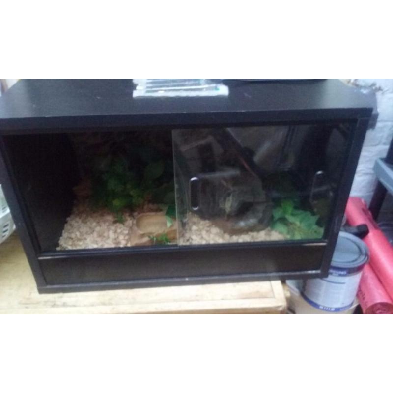 Black 2ft vivarium