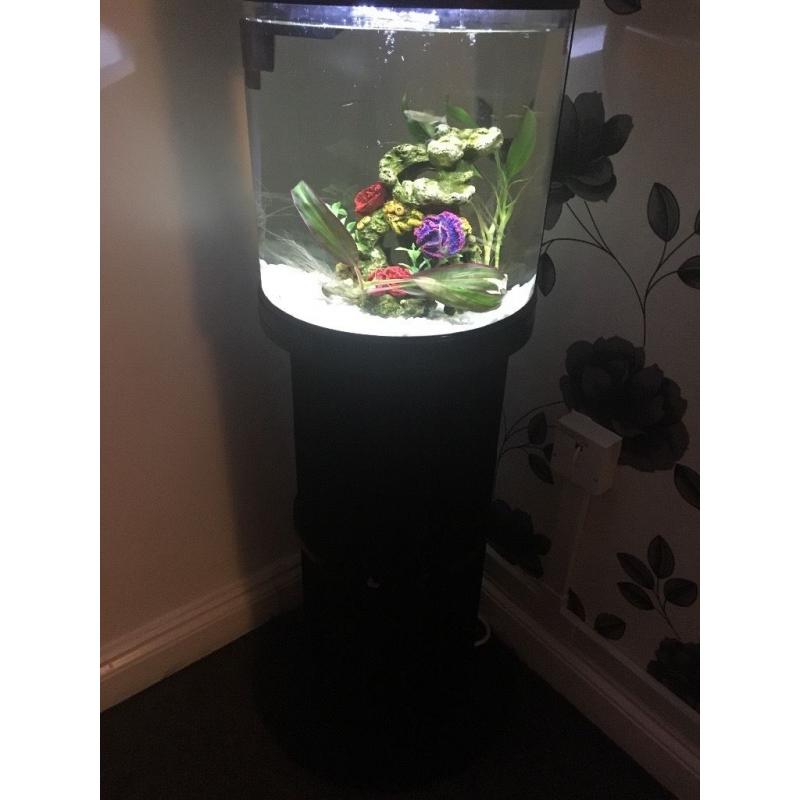 19ltr fishbox fish tank with stand