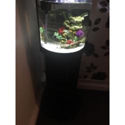 19ltr fishbox fish tank with stand