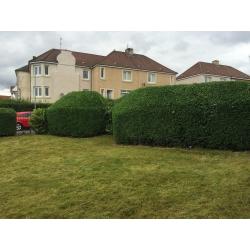 DO IT ALL..garden maintenance,Tidy Ups,Fence Erected,Deco Stones,North/South Lanarkshire covered