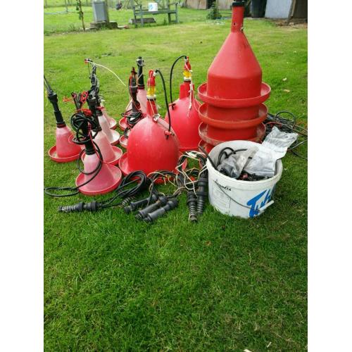 Pheasant poultry automatic bell drinkers