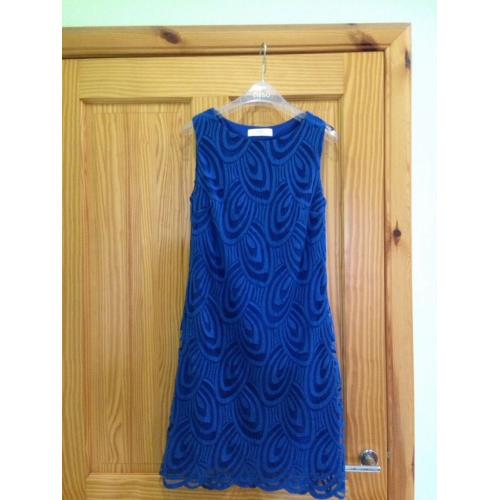 Wallis Petite Cobalt blue dress