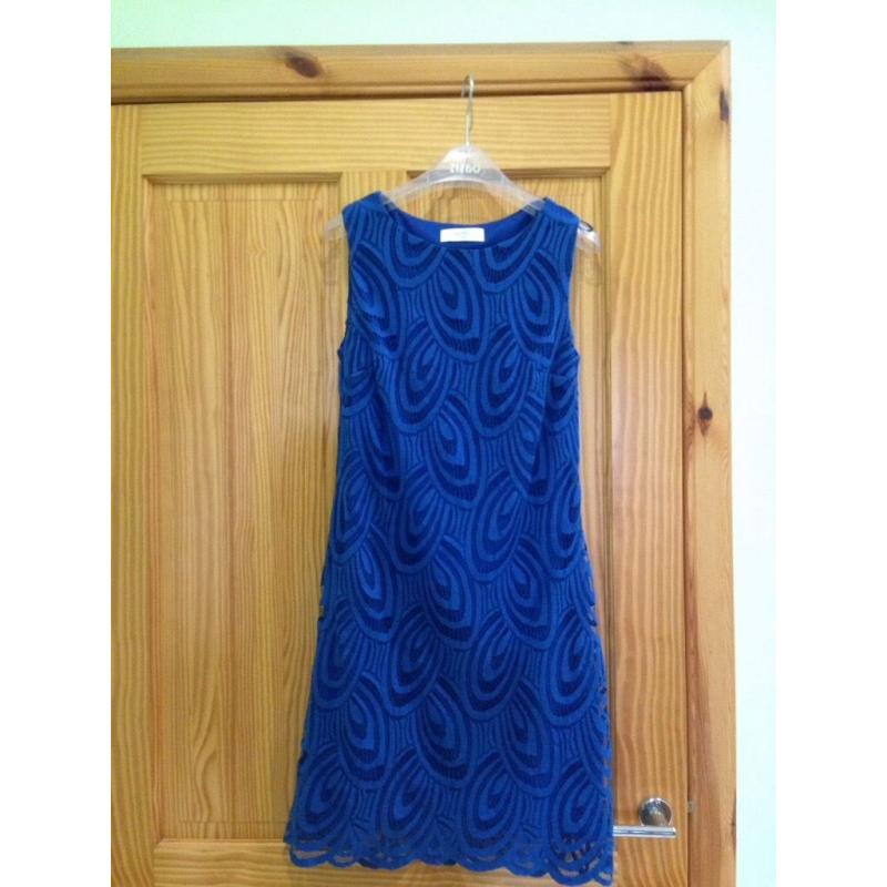 Wallis Petite Cobalt blue dress