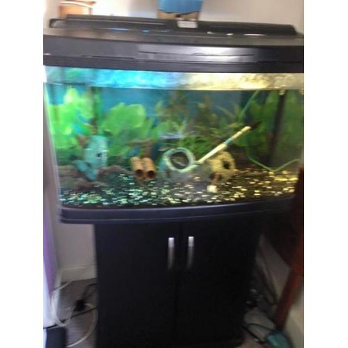 120Litre Fish Tank