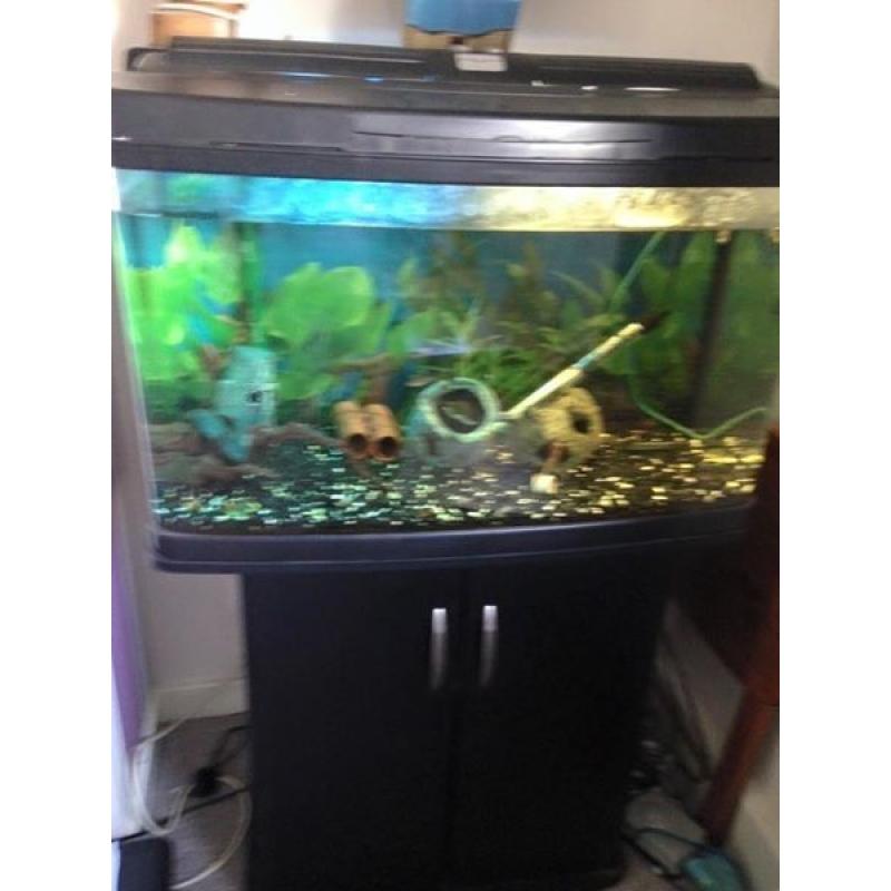 120Litre Fish Tank
