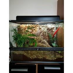 Exo terra viv