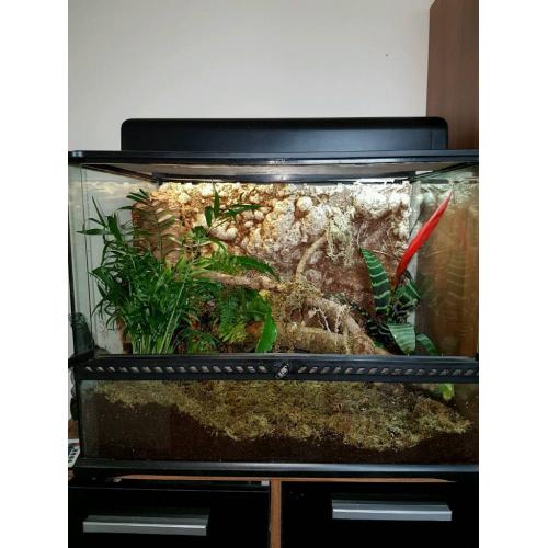 Exo terra viv