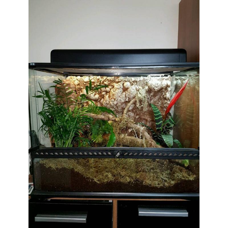 Exo terra viv