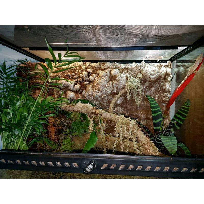 Exo terra viv