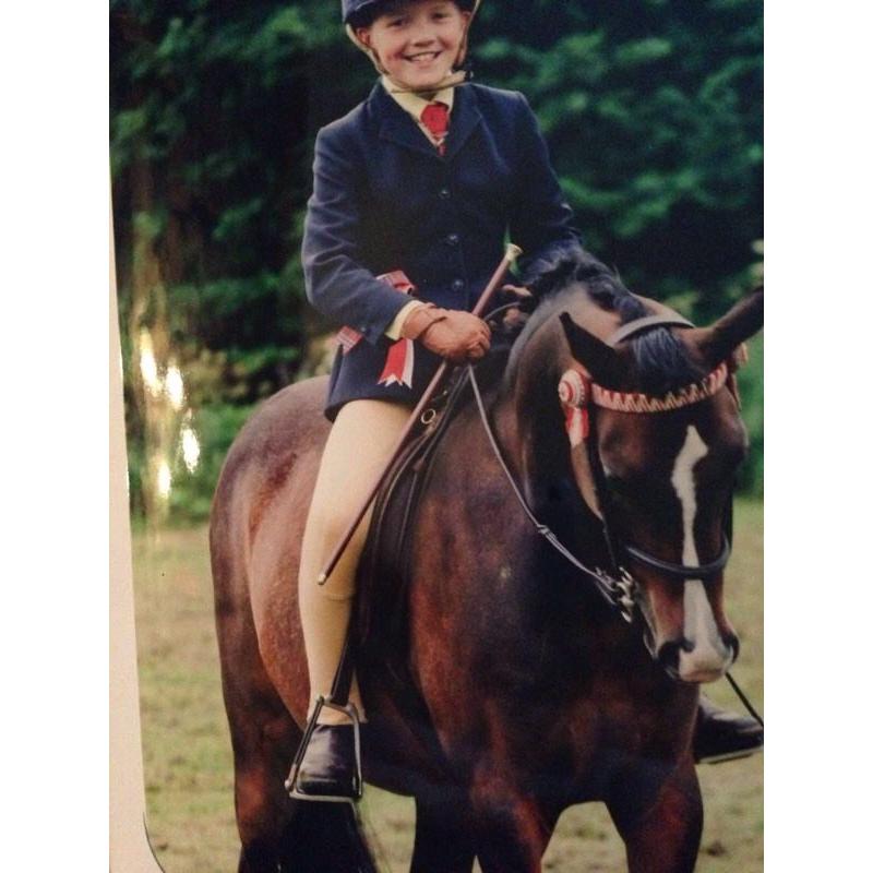 Sec b mare for sale