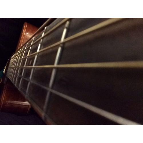 Acoustic guitarist available for ceilidhs