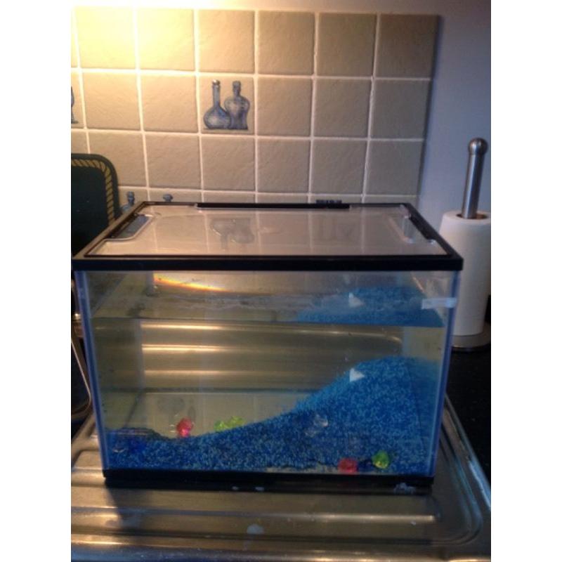 Fish tank