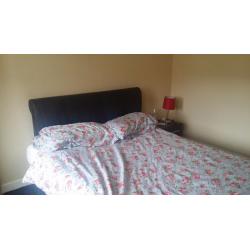 Faux Leather Double Bed Frame.