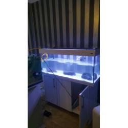 Aqua one 245l aquarium