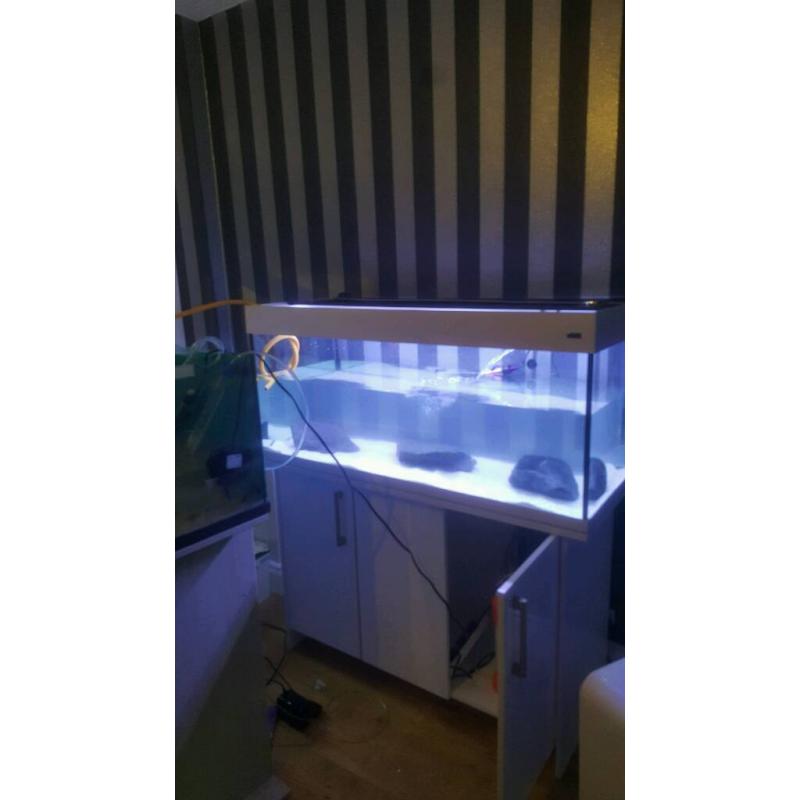 Aqua one 245l aquarium