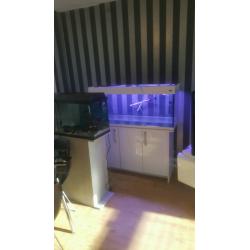Aqua one 245l aquarium