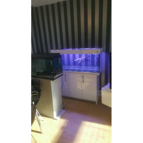Aqua one 245l aquarium
