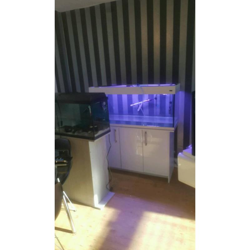 Aqua one 245l aquarium