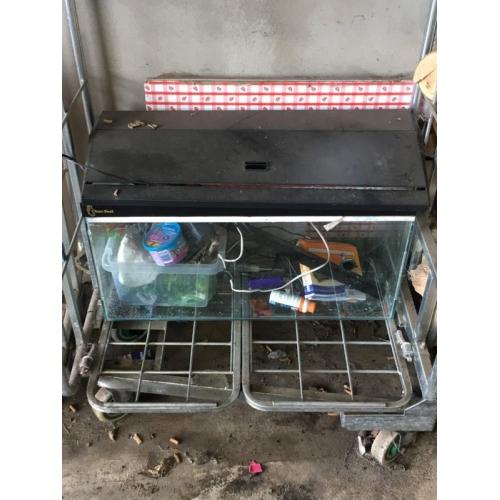 Fish tank