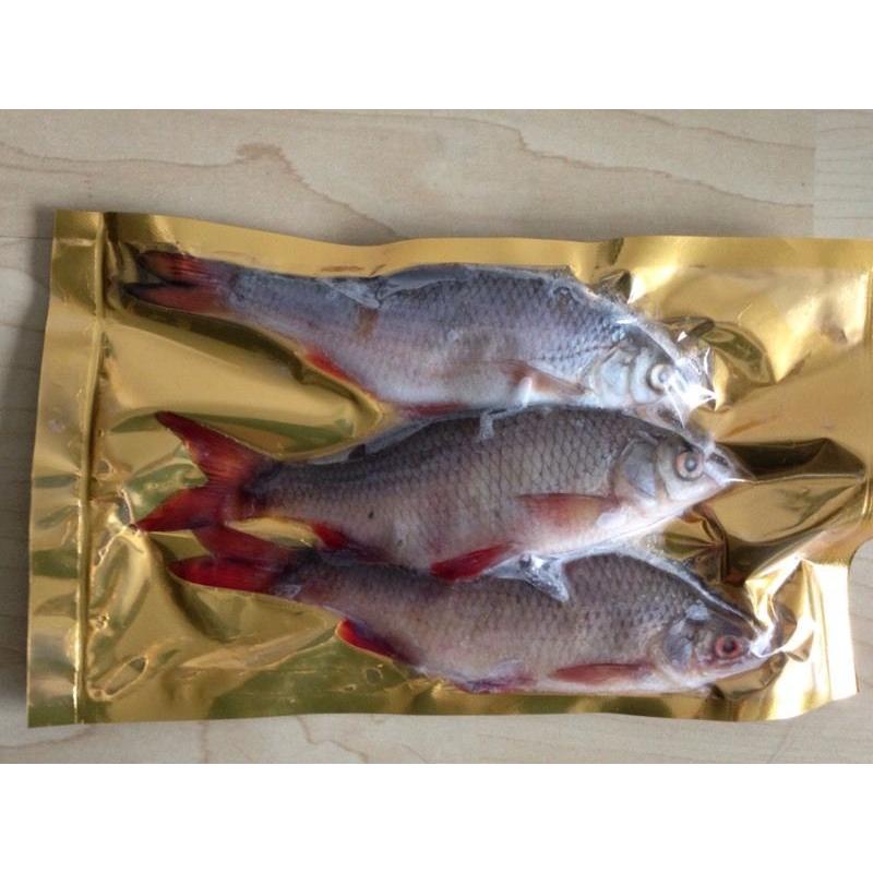 Fishing BAIT