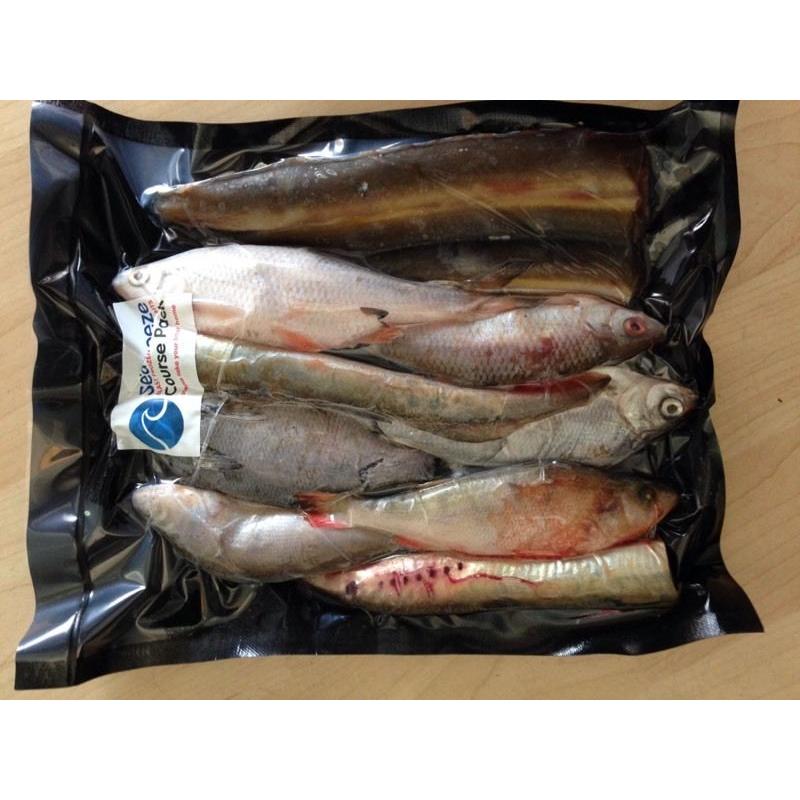 Fishing BAIT