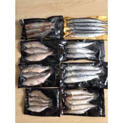 Fishing BAIT