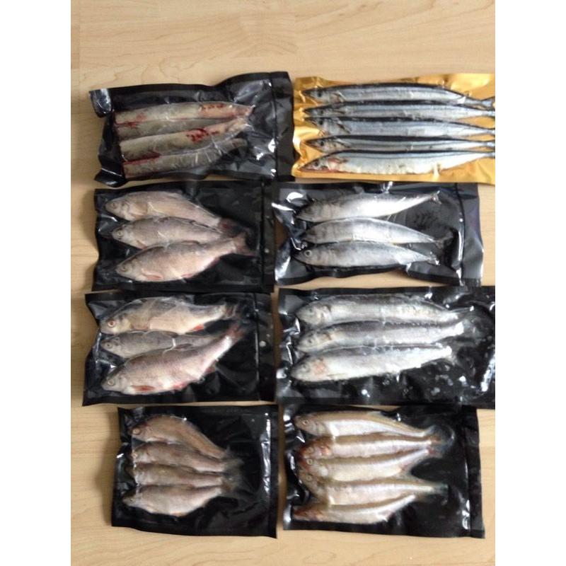Fishing BAIT