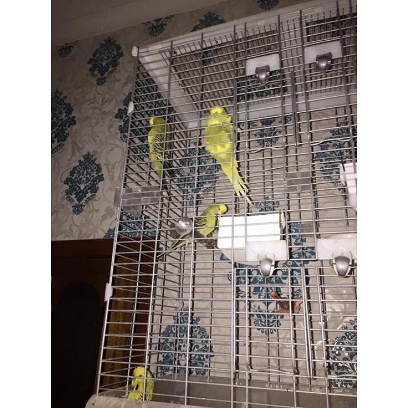 Cages