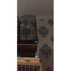 Cages