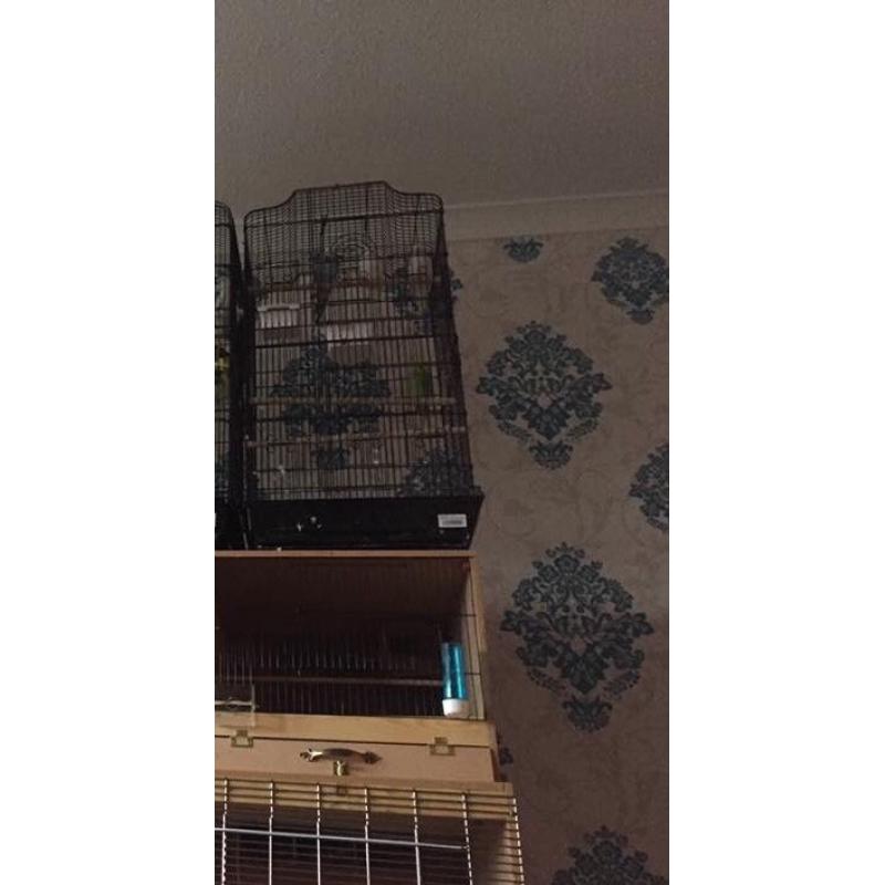 Cages