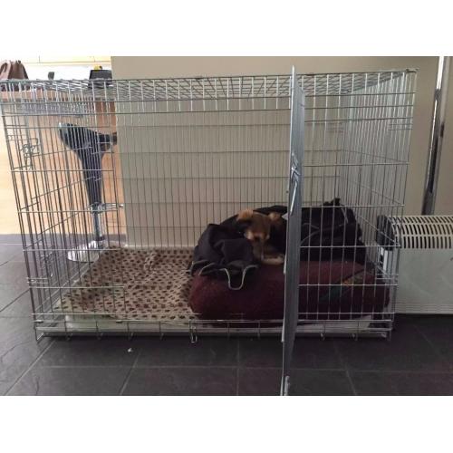Ellie-Bo Dog Cage, large 2 door folding crate -- EXTRA STRONG!