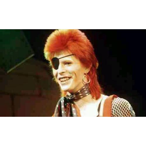 BOWIE bootlegs.