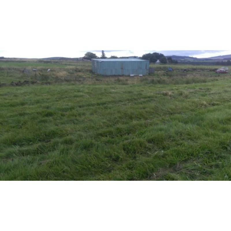 GRAZING FOR HOURSES