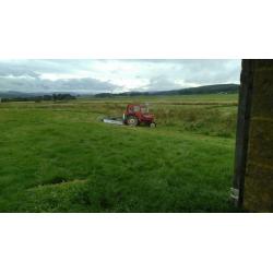 GRAZING FOR HOURSES