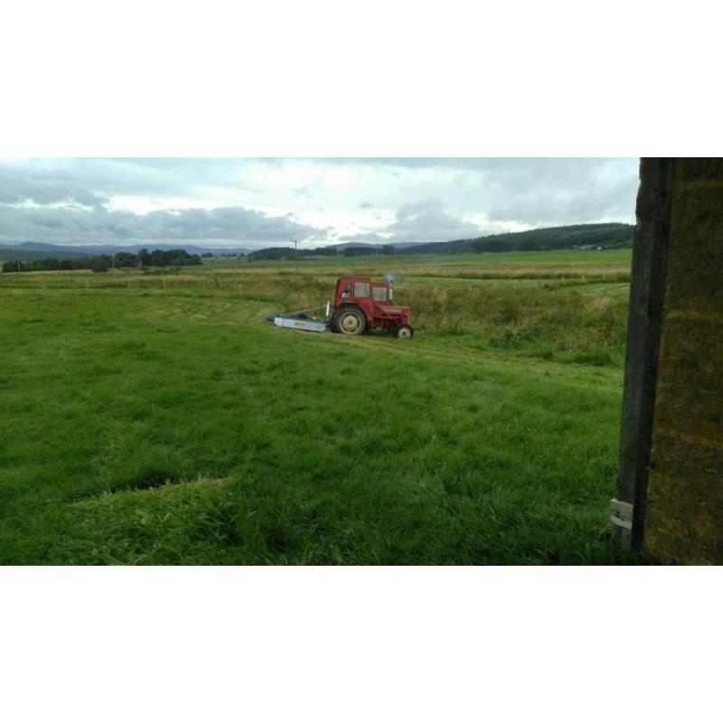 GRAZING FOR HOURSES
