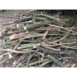 Free Firewood