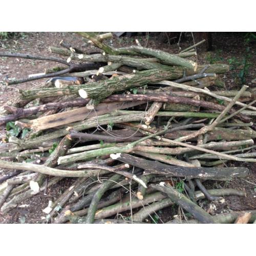 Free Firewood