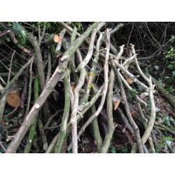Free Firewood