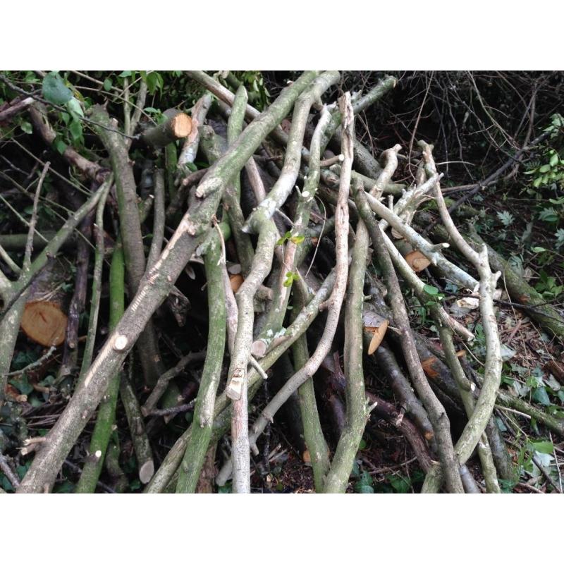 Free Firewood