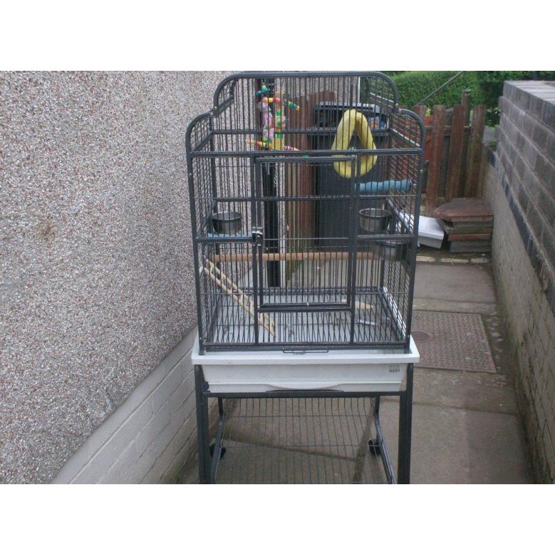 bird cage